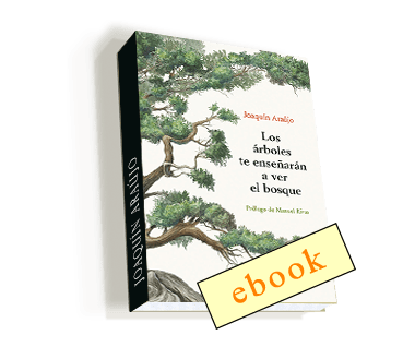 Los árboles te enseñarán a ver el bosque -Joaquín Araujo /ebook – Paseo de  Compras