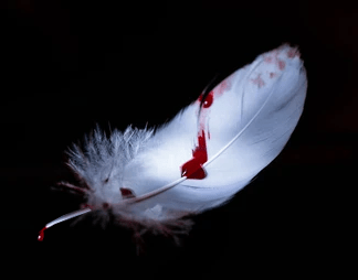 Libros en el Artículo “Las plumas heridas”