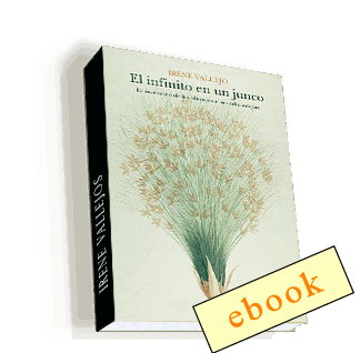 El infinito en un junco - Irene Vallejo  /ebook