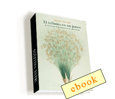 El infinito en un junco - Irene Vallejo  /ebook