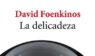 La Delicadeza – David Foenkinos